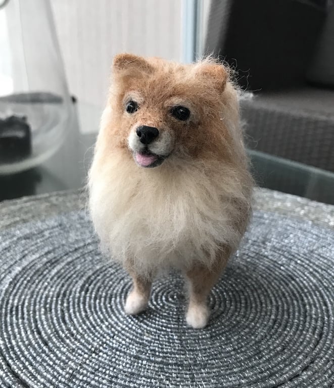 Din hund i uld  billede 2