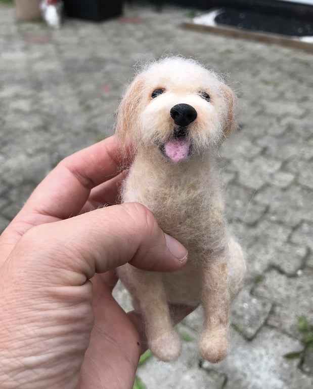 Din hund i uld  billede 3