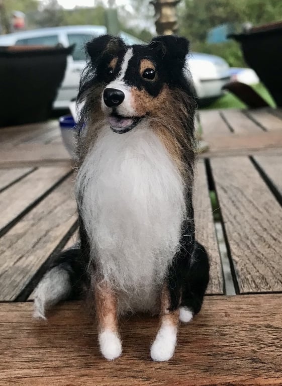 Din hund i uld  billede 4