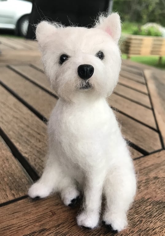Din hund i uld  billede 5