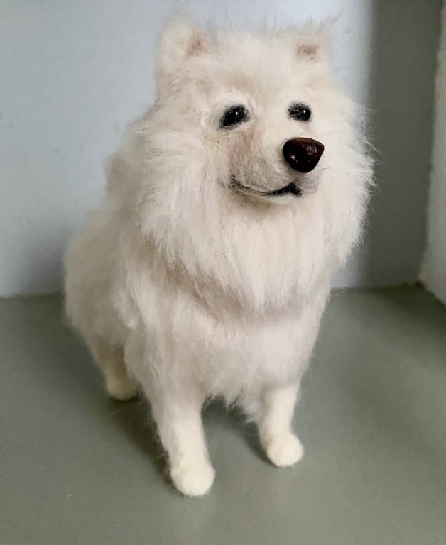 Din hund i uld  billede 7