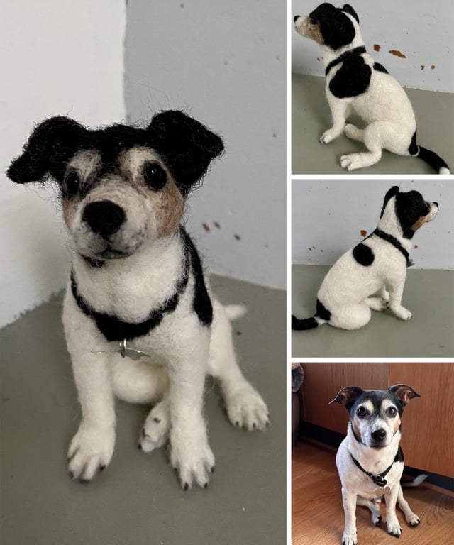Din hund i uld  billede 8