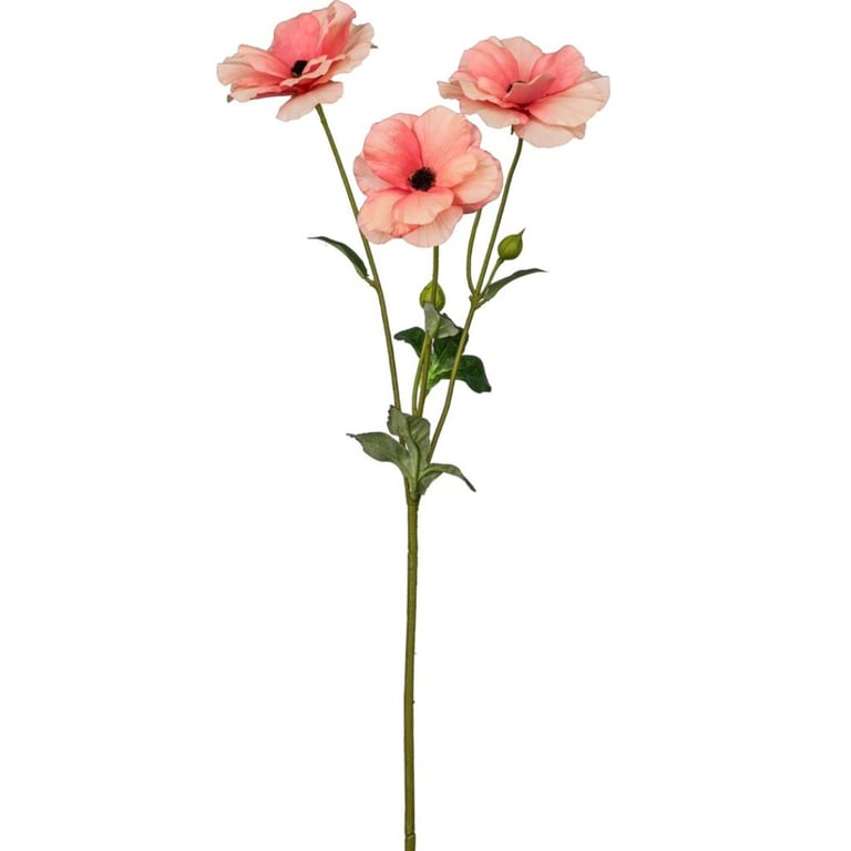 Bukket med tre lyserøde valmueblomster og grønne blade på hvide baggrund.