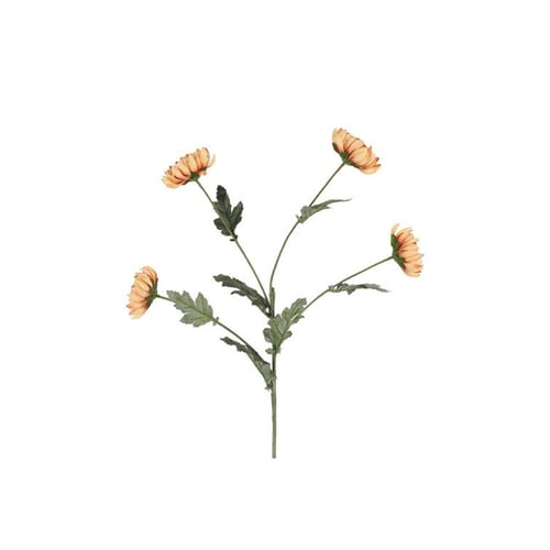 En gren med fire orange blomster og grønne blade mod hvid baggrund. (1)