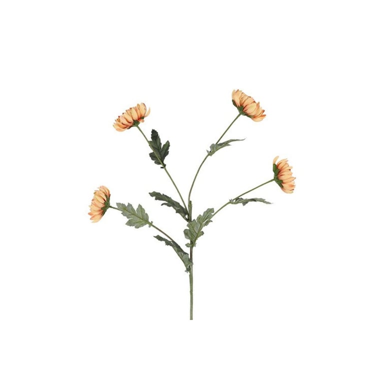 En gren med fire orange blomster og grønne blade mod hvid baggrund.