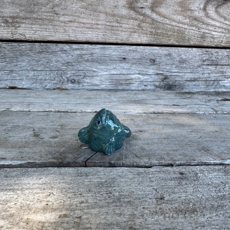Fiskehoved blå billede 2