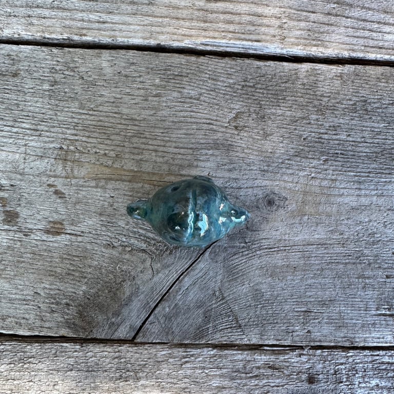 Fiskehoved blå billede 3