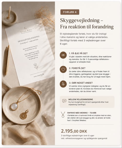Skyggevejledning – Fra reaktion til forandring