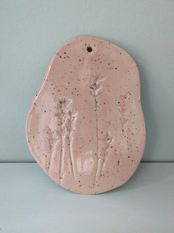 platte rosa