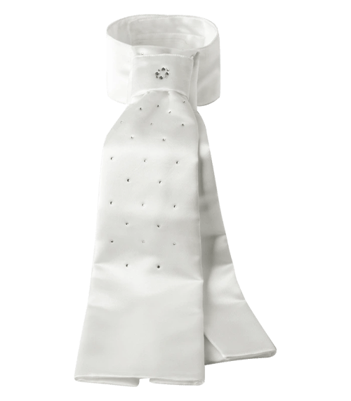 ELT/ Grazia Plastron  (1)