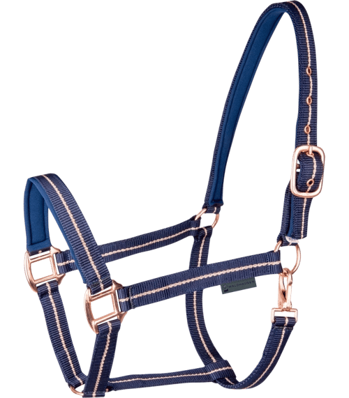 Blåt og rosa justerbart hestegrime lavet af nylon med metalspænder. (1)