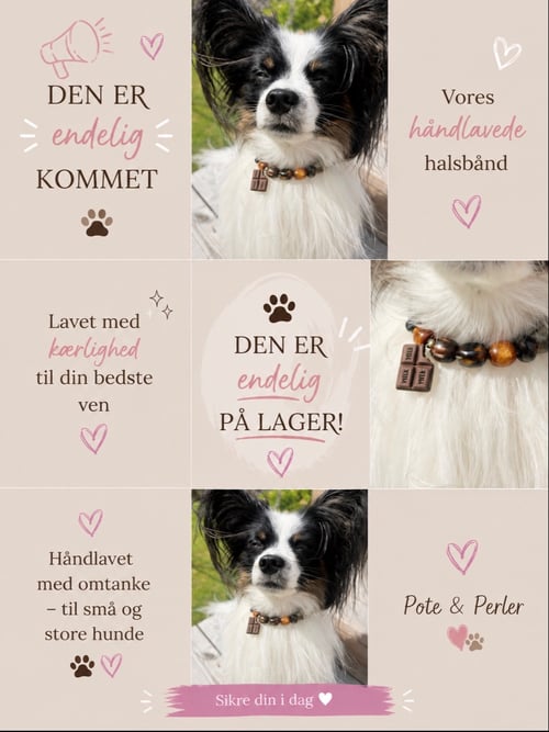 Hundehalsbånd  (2)