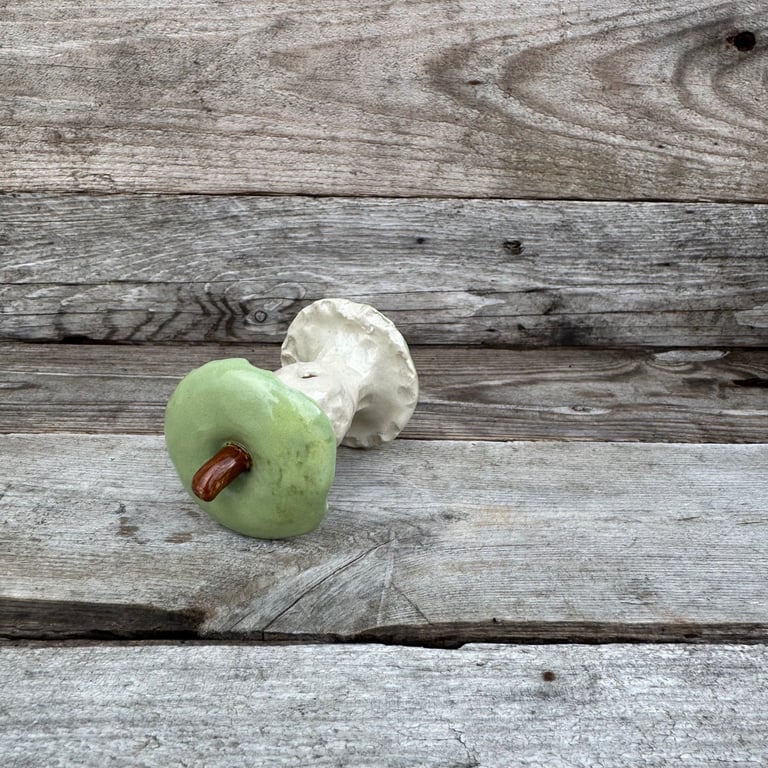 Æbleskrog grønt billede 3