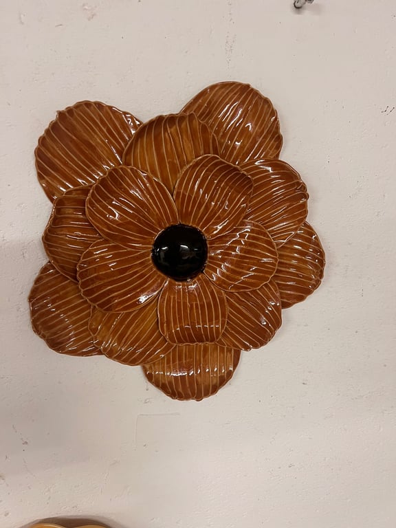 Brun vægblomst 