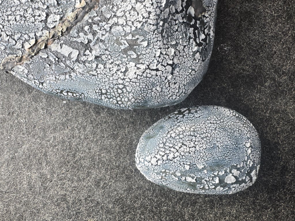 KRAKELERET- Sten vægskulptur billede 2