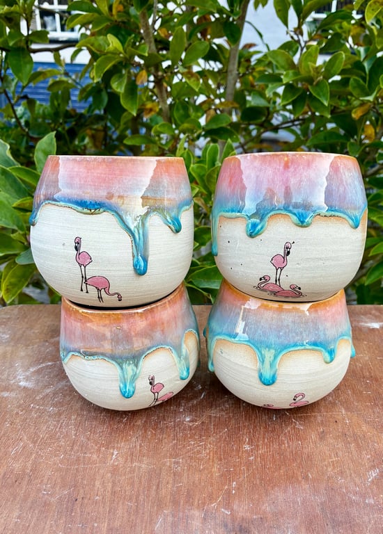 Cracks flamingo Tumblers