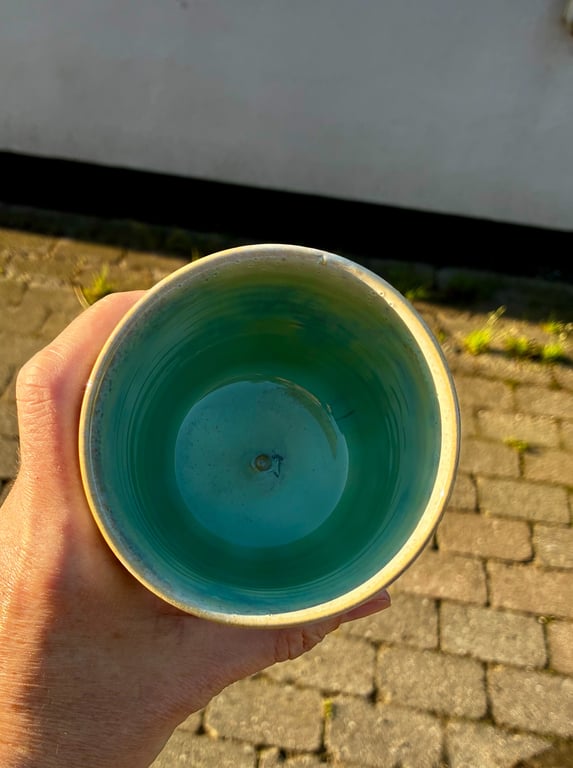 Cracks Frogs Tumblers billede 3