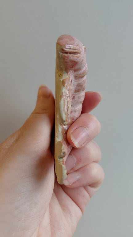 væghængt reje billede 6