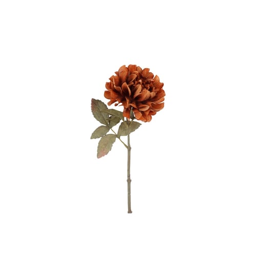 Dahlia cinnamon 57 cm