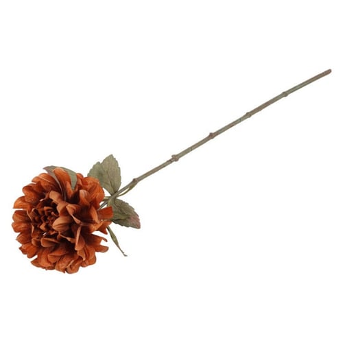 Dahlia cinnamon 57 cm (2)