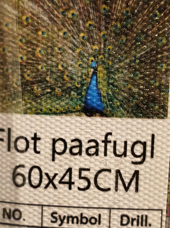 Flot paafugl 60 45