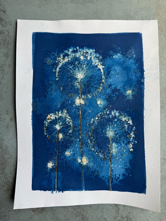 Allium #4 Cyanotype 