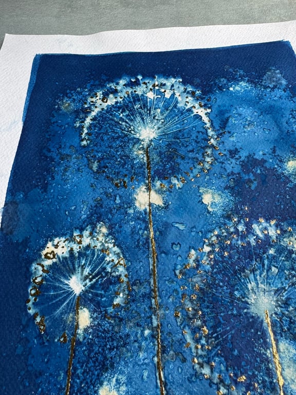 Allium #4 Cyanotype  billede 2