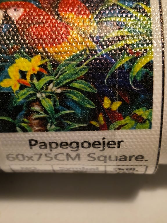 Her er der nogle rigtig pæne papegøjer 60 75