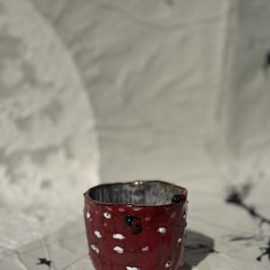 fluesvampkop m. mariehøner – produktbillede