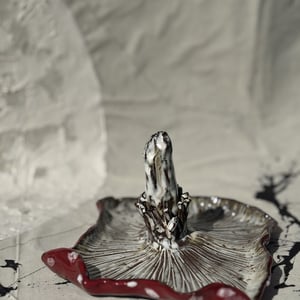 fluesvamp fad mellem – produktbillede