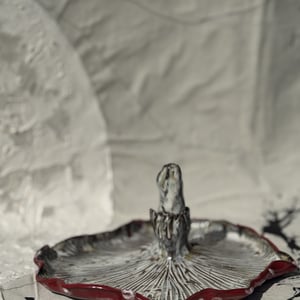 fluesvamp fad mellem – produktbillede