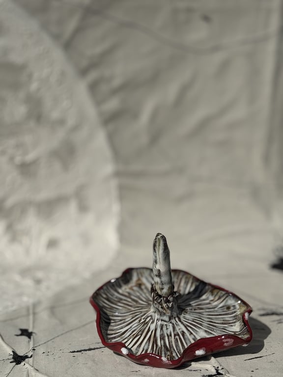 smykkesvamp fluesvamp