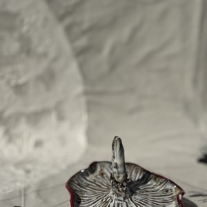 smykkesvamp fluesvamp – produktbillede