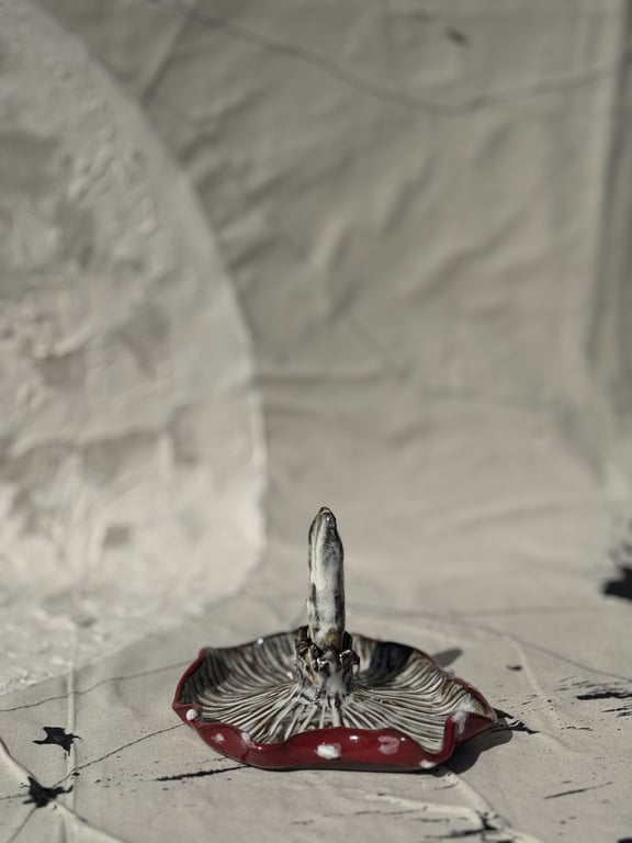 smykkesvamp fluesvamp billede 2