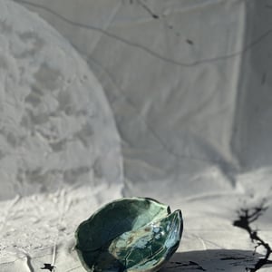 bladnerve skål – produktbillede