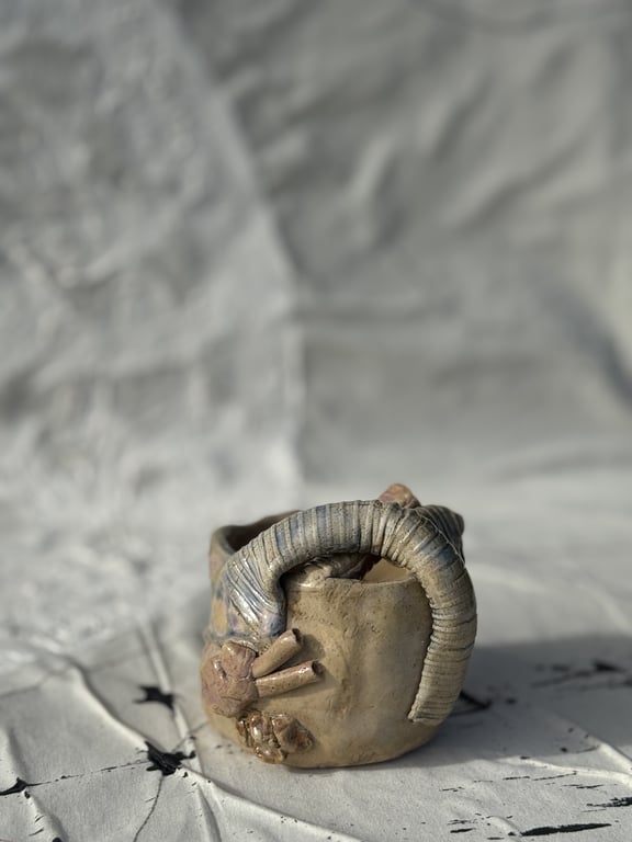 anatomisk hjertekop