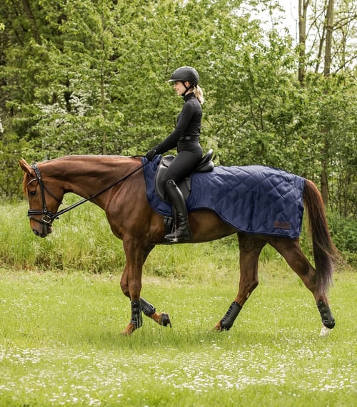 Waldhausen/ Exclusive Ridedækken - Navy (2)