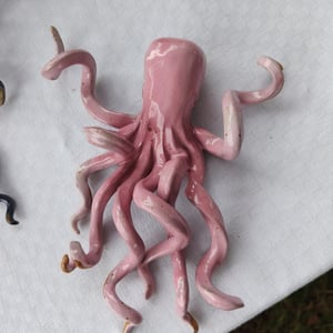 Lyserød blæksprutte  – produktbillede