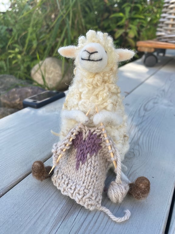 Strikkende får