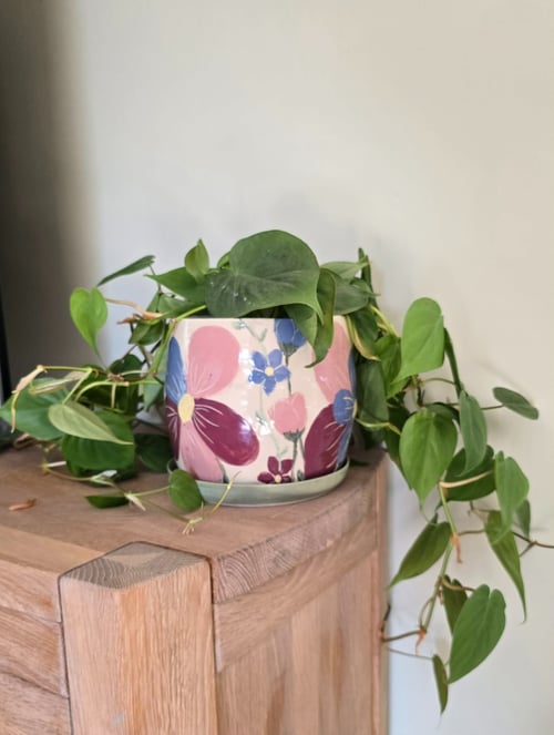 Blomsterpotte med mønster af store pink og lilla blomster, der står på et hjørne af et lysttræsskab, med grønne hjerteformede blade, der hænger ud over kanten. (1)