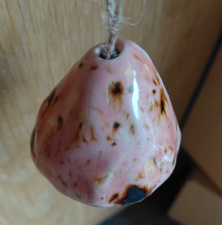 Svampe ophæng billede 2