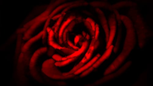 4K ABSTRACT SCREEN ART (46)