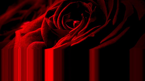 4K ABSTRACT SCREEN ART (40)