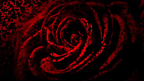 4K ABSTRACT SCREEN ART (47)