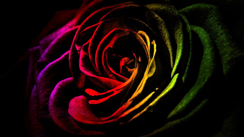 4K ABSTRACT SCREEN ART (37)