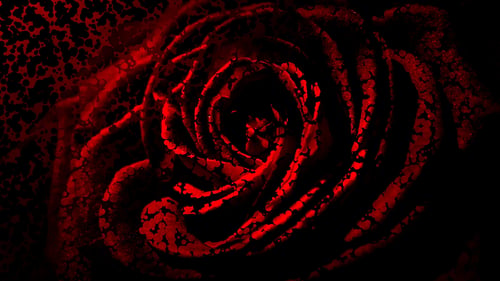 4K ABSTRACT SCREEN ART (48)