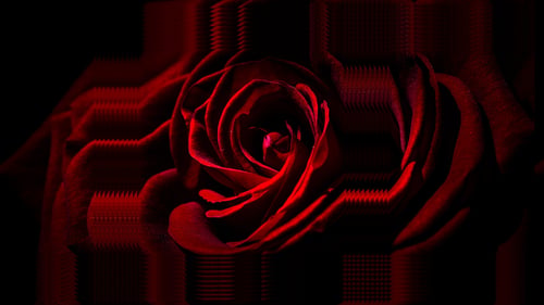 4K ABSTRACT SCREEN ART (53)