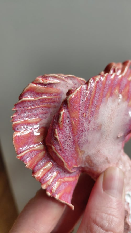 Nærbillede af hånd, der holder en skinnende, pink keramisk skulptur med bølgede kanter. (6)