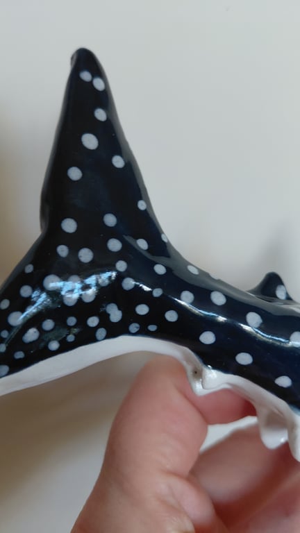hvalhaj, væghængt  billede 4