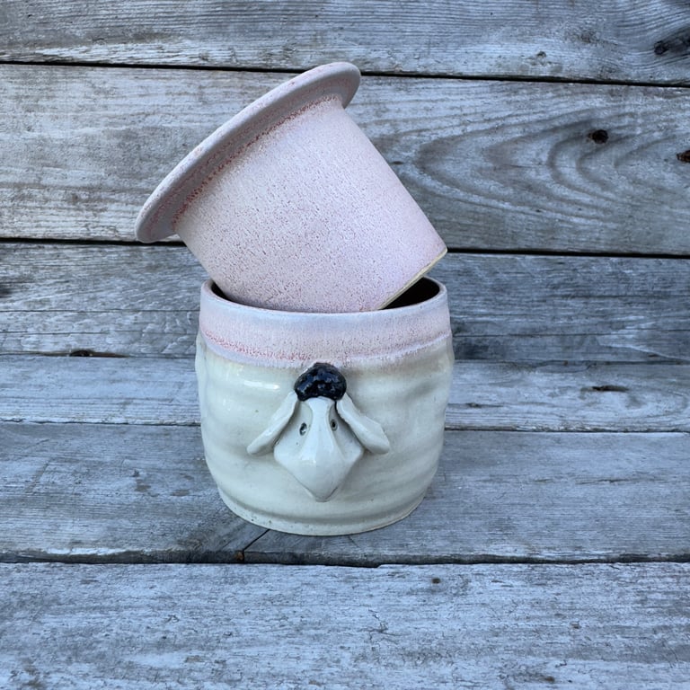 Smørklokke får mat lyserød 